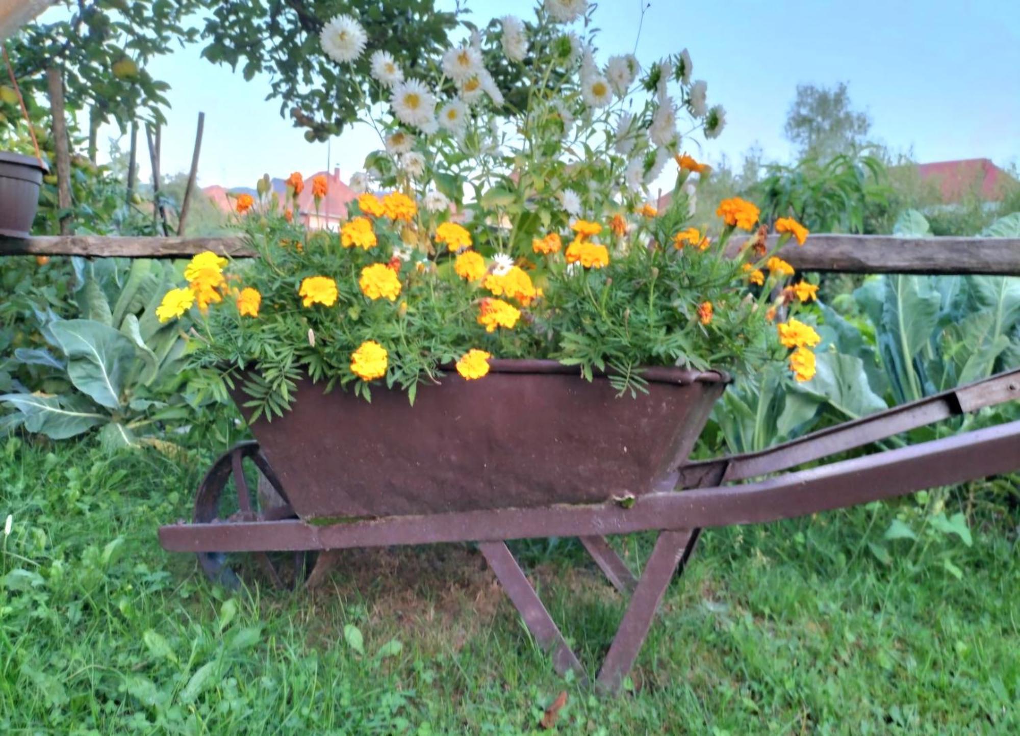 Etno Smjestaj Bjelasica Kolašin Exterior foto