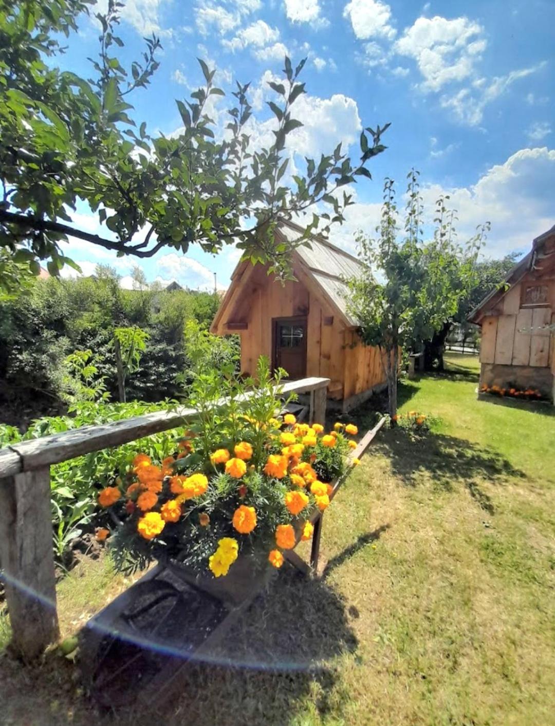 Etno Smjestaj Bjelasica Kolašin Exterior foto